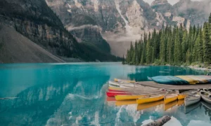 article-thumb-1-300x180