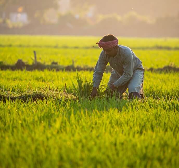 Agriculture trade fair