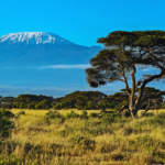 Kenya - Travflix Tours