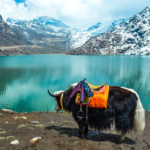 India - Travflix Tours