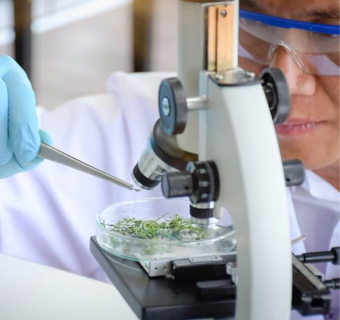 biotechnology laboratory plants microscope