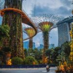 gardens by the bay supertree grove marina bay sands