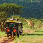 safari vehicle dirt road giraffe