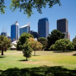 sydney royal botanic gardens city skyline