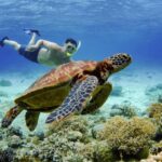cebu bohol snorkeling